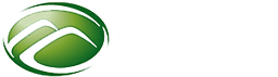 Peravia Motors